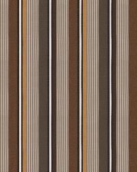 Dylan Stripe Godiva by  S Harris 