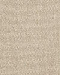 Grain Twill Parchment by   