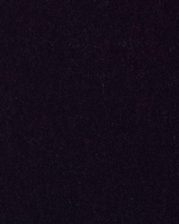 HV16156 217 EGGPLANT by   