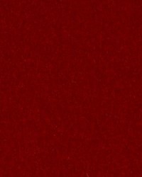 HV16156 33 PERSIMMON by   