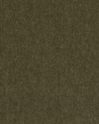 HV16156 354 BASIL by   