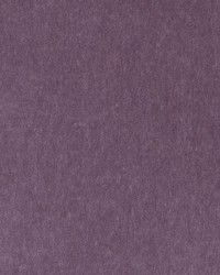 HV16156 43 LAVENDER by   