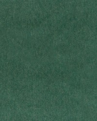 HV16460 597 GRASS by   