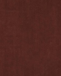 HV15975 117 CLARET by   