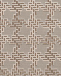 HV16240 160 MUSHROOM by   