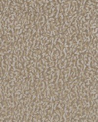 HV16248 160 MUSHROOM by   