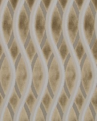 HV16249 160 MUSHROOM by   