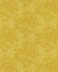 Bandito Fluorescent by   