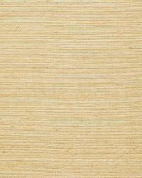 NINGBO SISAL IVORY by  Schumacher Wallpaper 