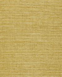 OSAN SISAL LIME by  Schumacher Wallpaper 