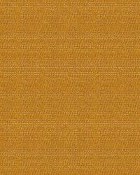 Obsidian Goldsign by   