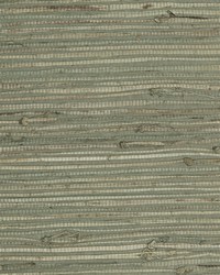 NS-7005 Twighlight Beige Natural fiber Grasscloth by   