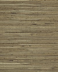 NS-7006 Burnt Copper Brown Natural Fiber Jute Grasscloth by   