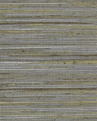 NS-7008 Sterling Silver Gray Metallic Painted Jute Grasscloth by   
