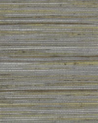 NS-7008 Sterling Silver Gray Metallic Painted Jute Grasscloth by   