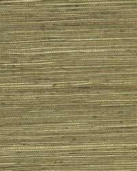 NS-7009 Desert Tan Metallic Painted Jute Grasscloth by   