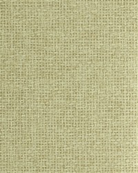 NS-7013 Wheatfield Beige Natural Paperweave Grasscloth by   