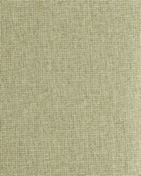 NS-7014 Burlap Beige Natural Paperweave Grasscloth by   