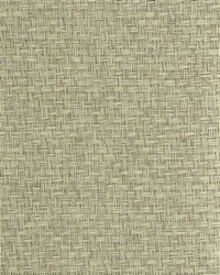 NS-7023 Ash Gray Paperweave Natural Grasscloth by   
