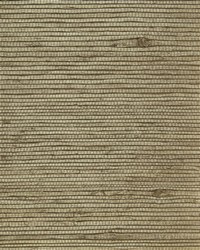 NS-7026 Nickel Taupe Heavy Jute Natural Grasscloth by   