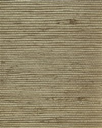 NS-7026 Nickel Taupe Heavy Jute Natural Grasscloth by   
