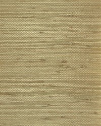 NS-7031 Amber Tan Jute by   