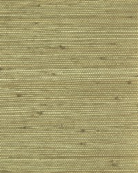 NS-7032 Golden Topaz Jute by   