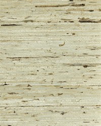 NS-7035 Oyster White Blend Arrowroot by   