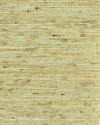 NS-7037 Tawny Beige Blend Arrowroot by   