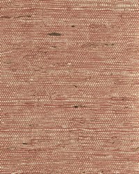 NS-7041 Mesa Red Arrowroot by   