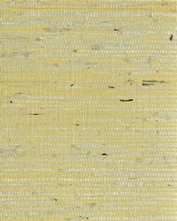 NS-7043 Sunset Gold Metallic back Natural Arrowroot Grasscloth by   