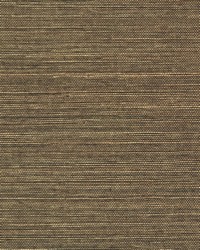 NS-7045 Coffee Brown coated Sisal Grasscloth by   