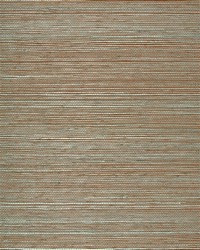 NS-7046 Moss Brown Double dyed Sisal Grasscloth by   