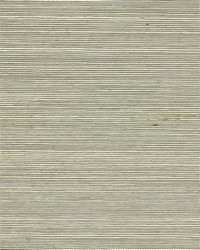 NS-7049 Misty Gray Natural Sisal Grasscloth by   