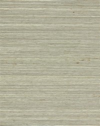 NS-7049 Misty Gray Natural Sisal Grasscloth by   