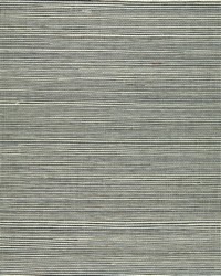 NS-7050 Sabre Gray Natural Sisal Grasscloth by   