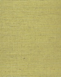 NS-7063 Canyon Gold Metallic Sisal Grasscloth by   