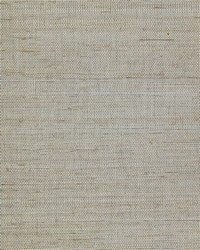 NS-7066 Tahoe Silver Gray Metallic Sisal Grasscloth by   