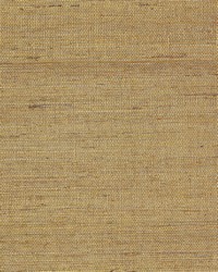 NS-7067 California Gold Metallic Sisal Grasscloth by   
