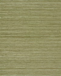 NS-7074 Sage Green Natural Sisal Grasscloth by   