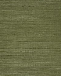 NS-7075 Meadow Green Natural Sisal Grasscloth by   