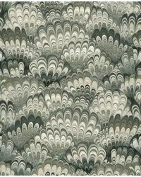 Octavia Dark Green by   