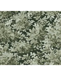 Greenwood Dark Green by   