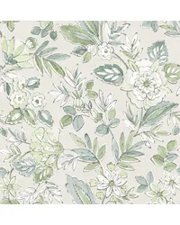 Begonia Sea Green by   