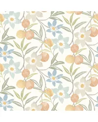 Passiflora Apricot by   