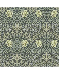 Oxford Union Sea Green by   