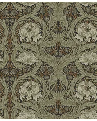 African Marigold Black by   