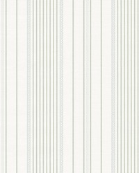 Navarres Stripe Light Green by   