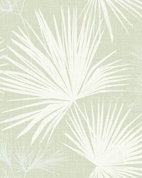 Hatteras Light Green by   