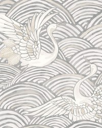 Egret Slate by   